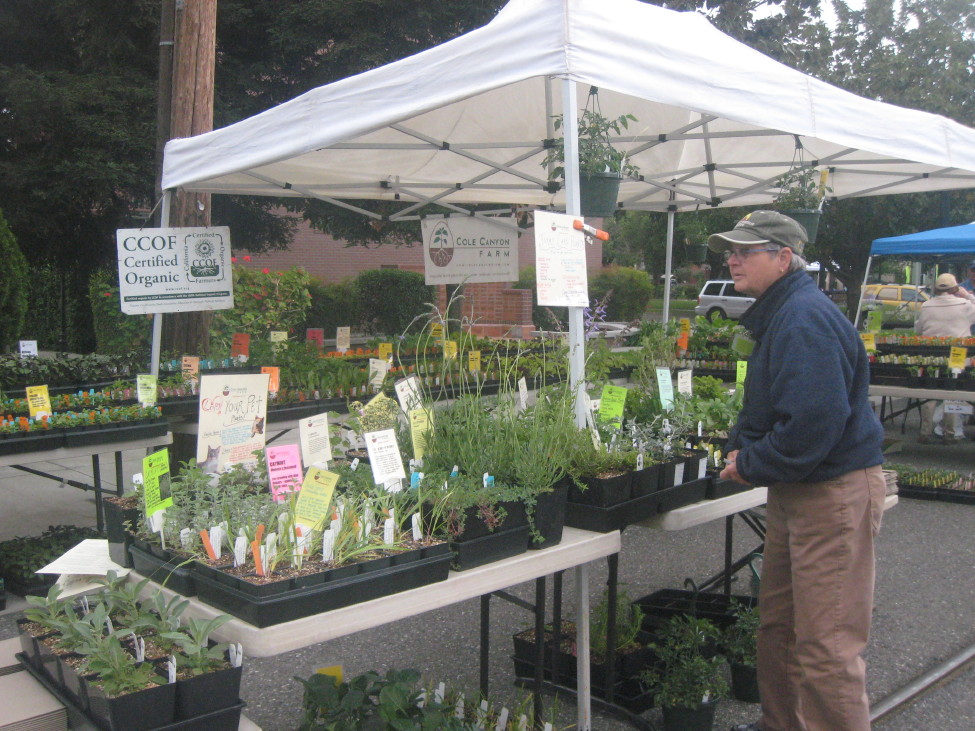 Ucce Master Gardeners Of Santa Clara County Spring Garden Market 2010